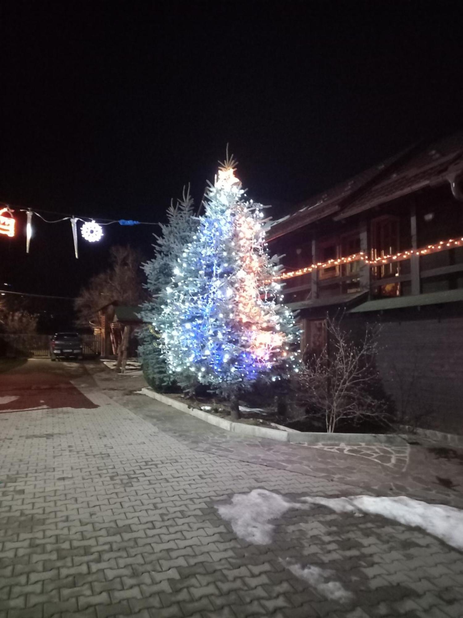 Pensiunea Poiana Борша Экстерьер фото